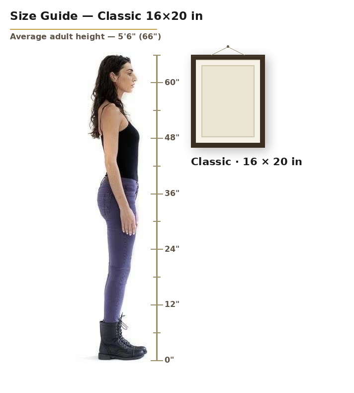 Classic 16 by 20 inch portrait shown to scale next to an average adult