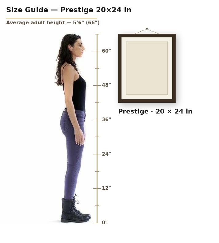 Prestige 20 by 24 inch portrait shown to scale next to an average adult